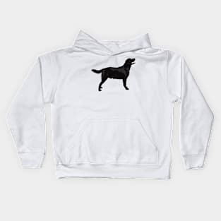 Beautiful Black Labrador Retriever Stacked Kids Hoodie